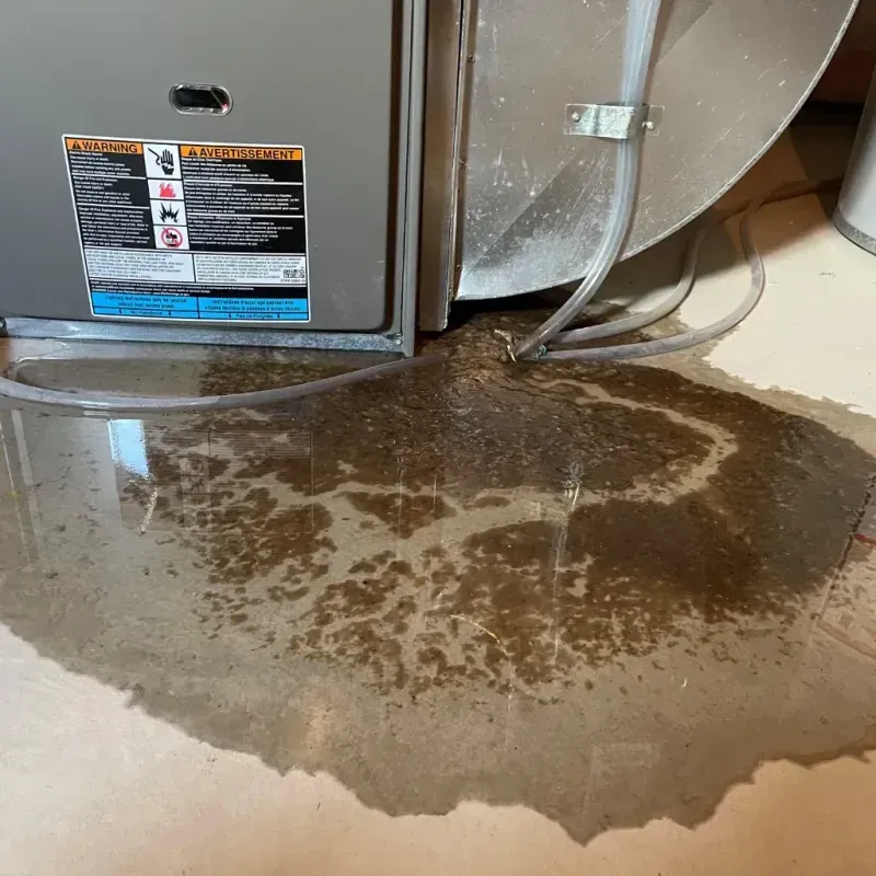 Appliance Leak Cleanup in Lesage, WV